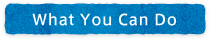 What You Can Do